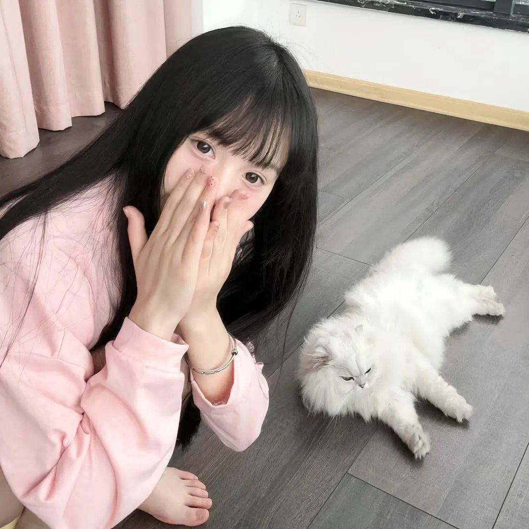 芙蓉仙子
